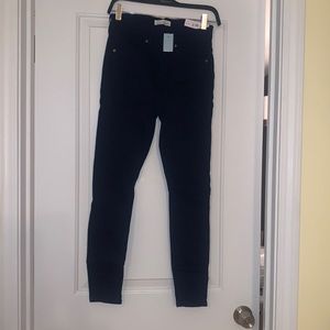 LOFT Petite Cozy Denim Leggings Indigo Blue NWT P0